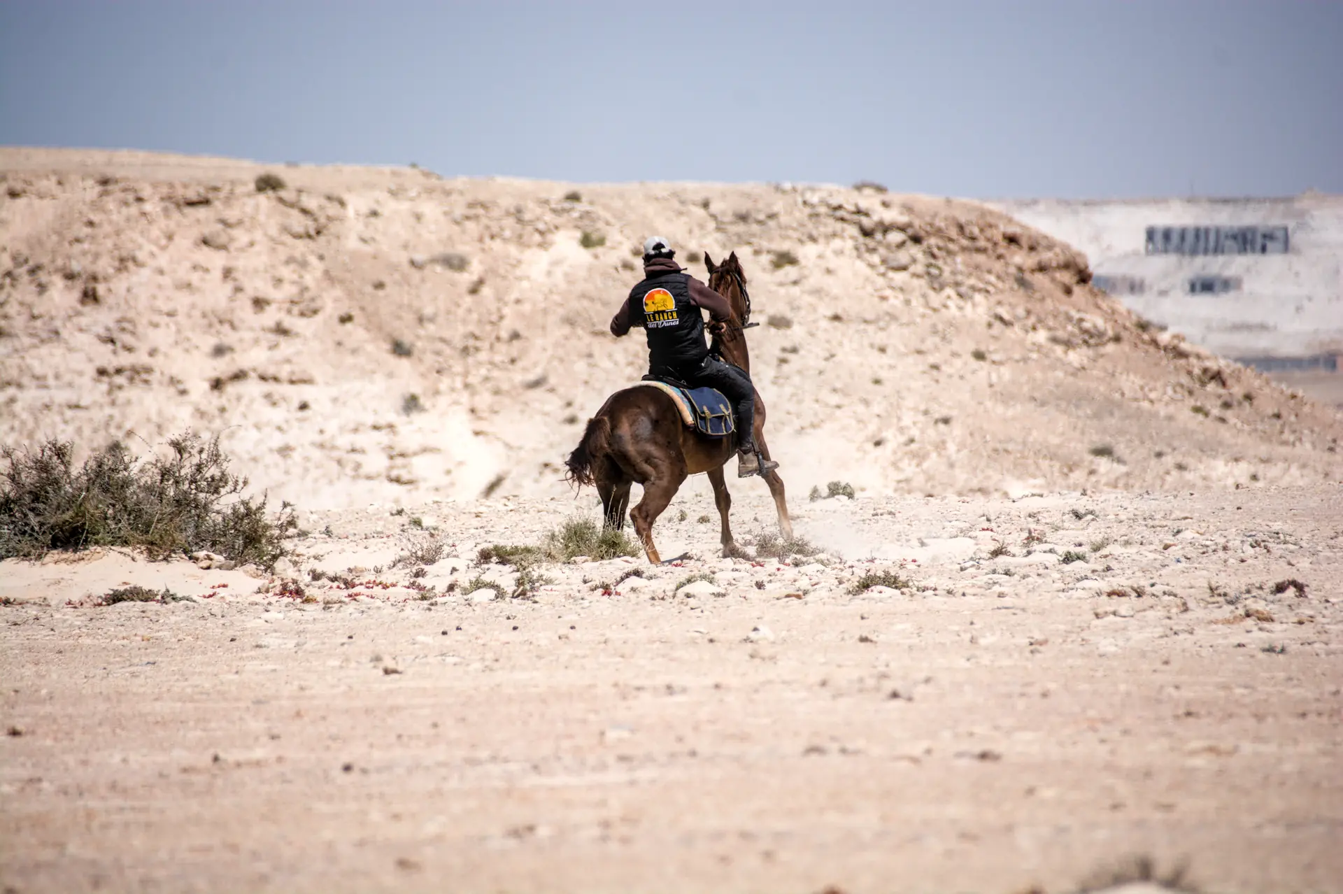 Séquence d'action chevaux