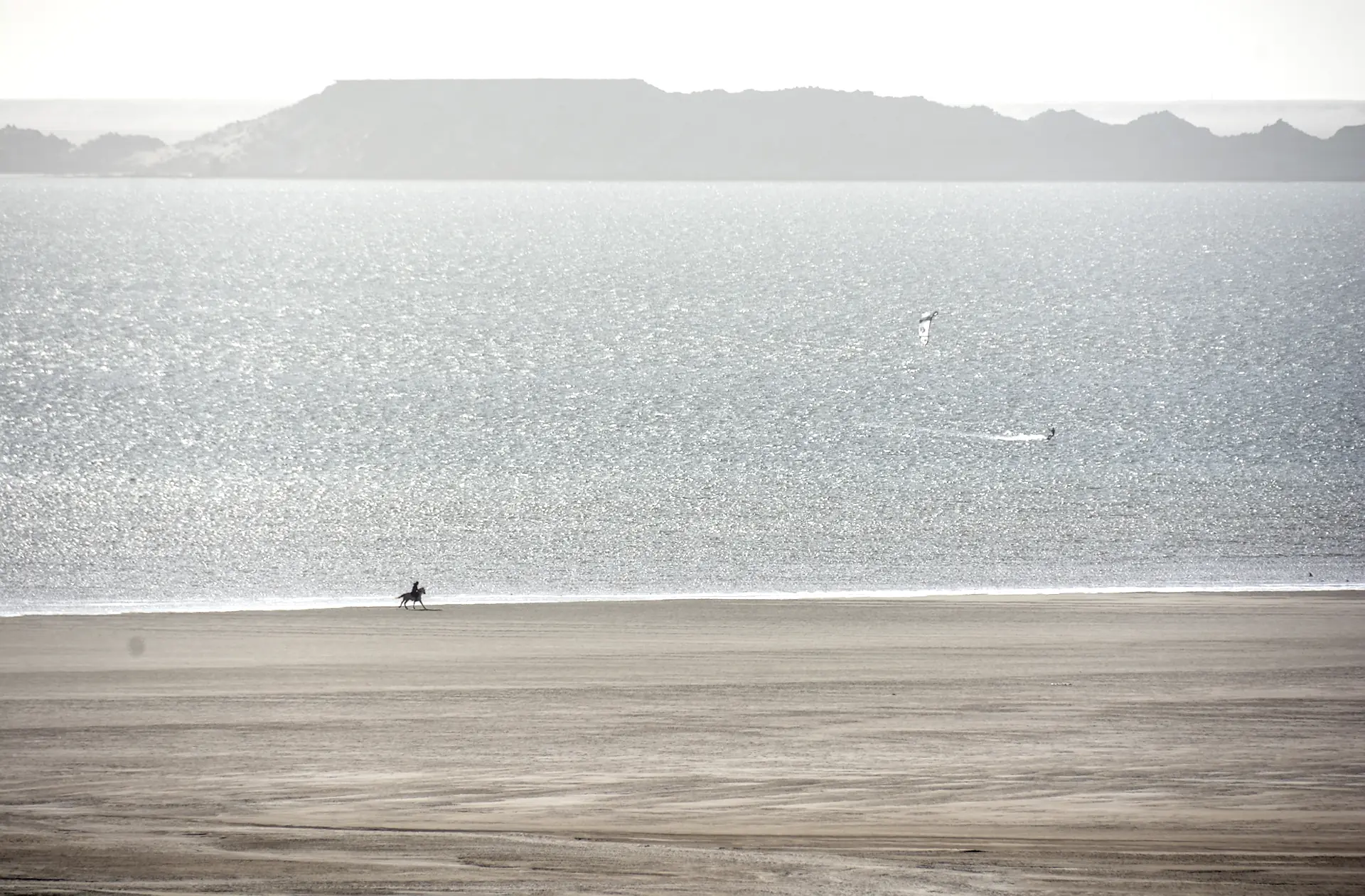 Chevaux au galop sur la Lagune de Dakhla en fin de journée