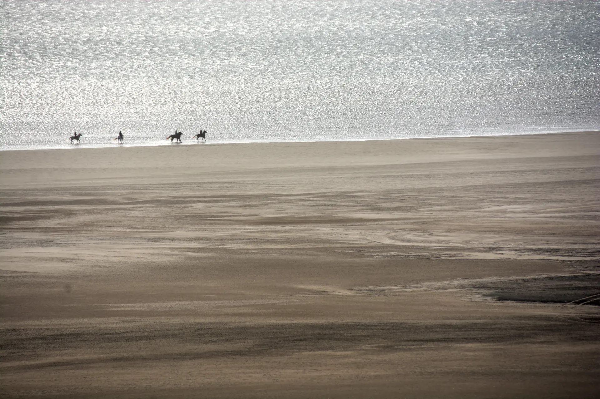 Chevaux lagune Dakhla