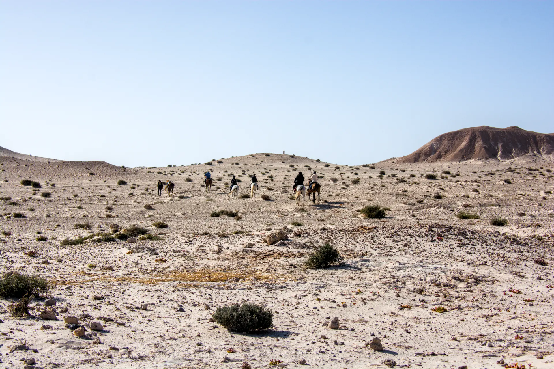 Séquence d'action chevaux