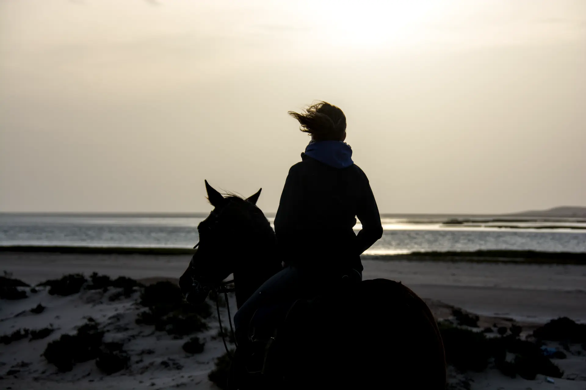Séquence d'action chevaux et dunes