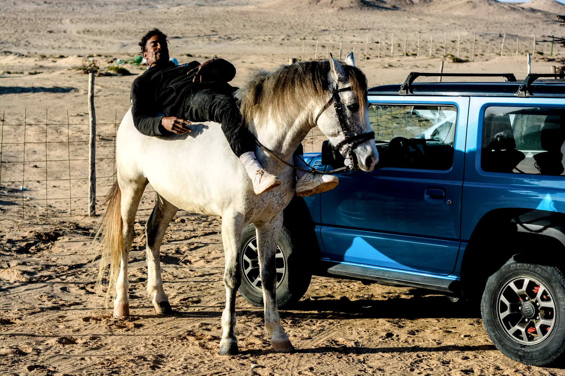 Cheval Dakhla Ranch des Dunes