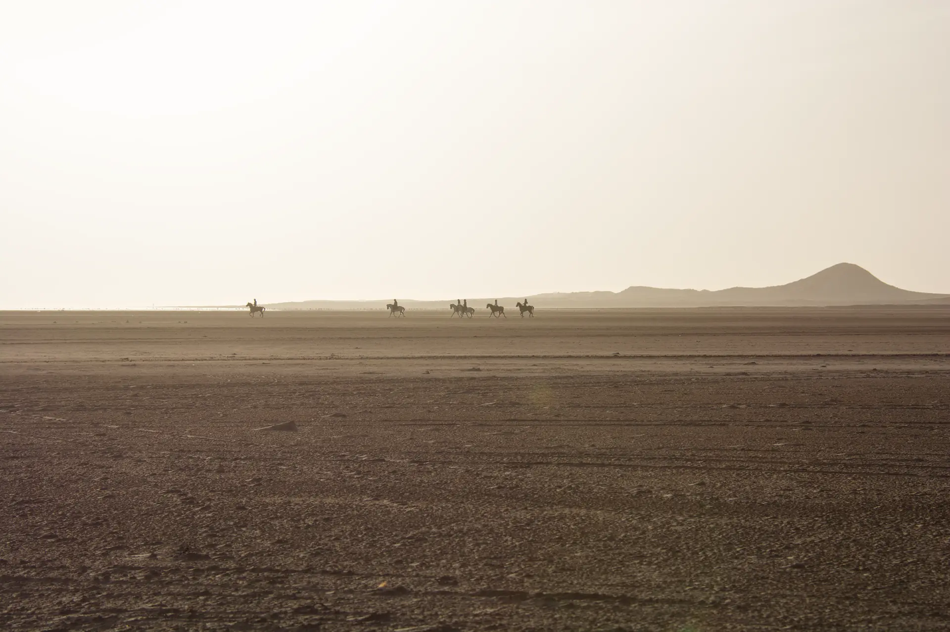 Séquence d'action chevaux