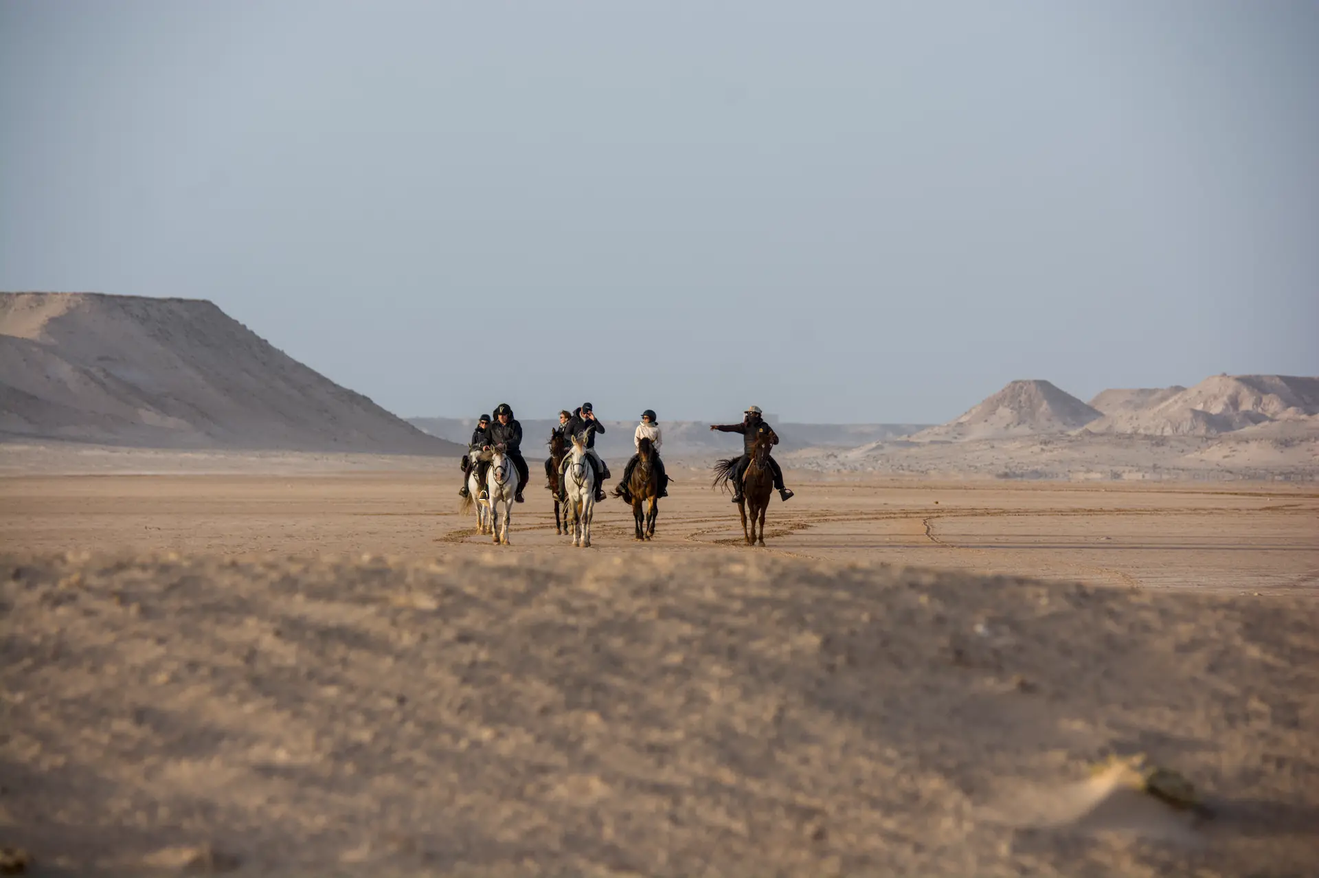 Séquence d'action chevaux