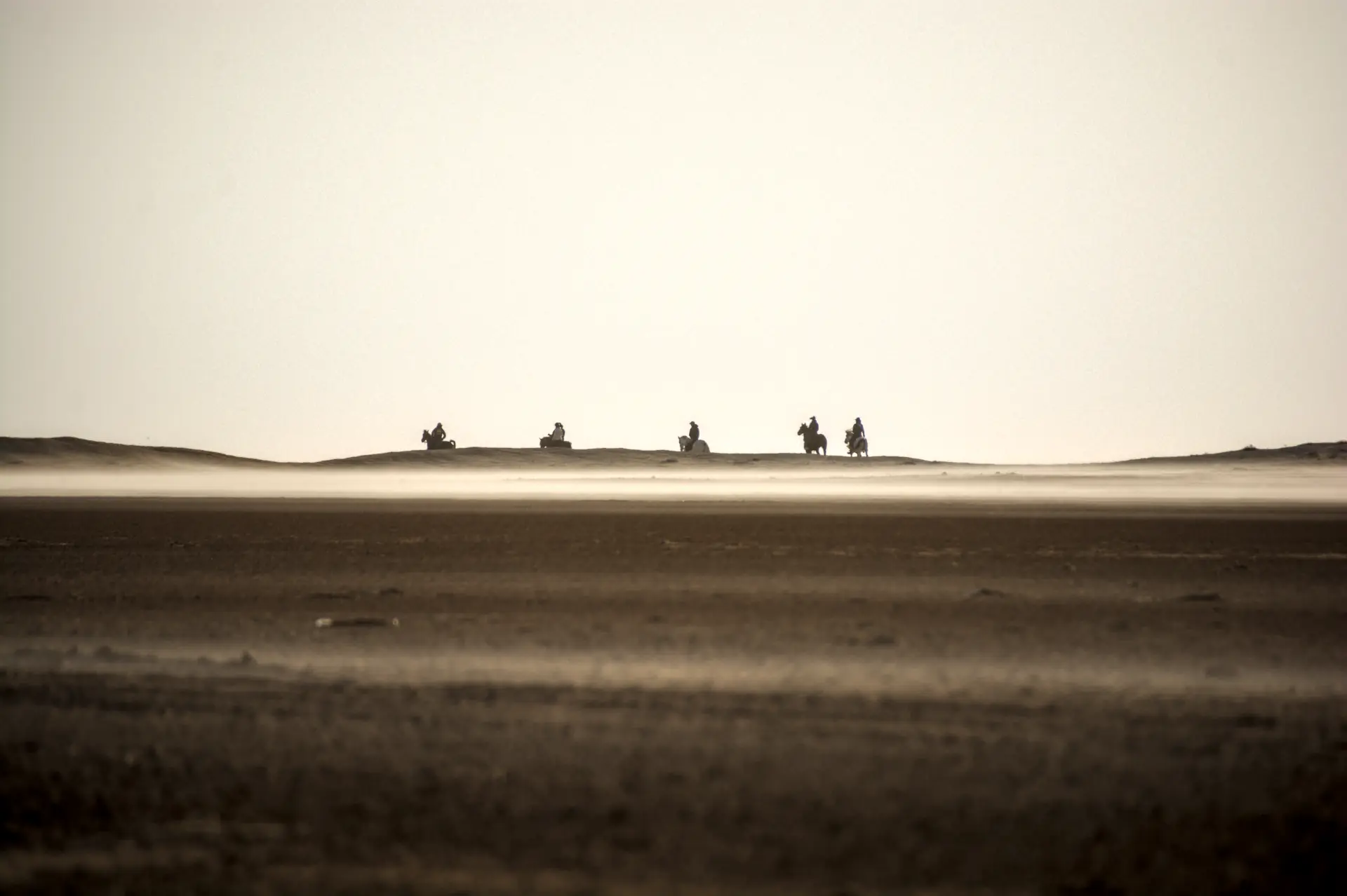 Séquence d'action chevaux