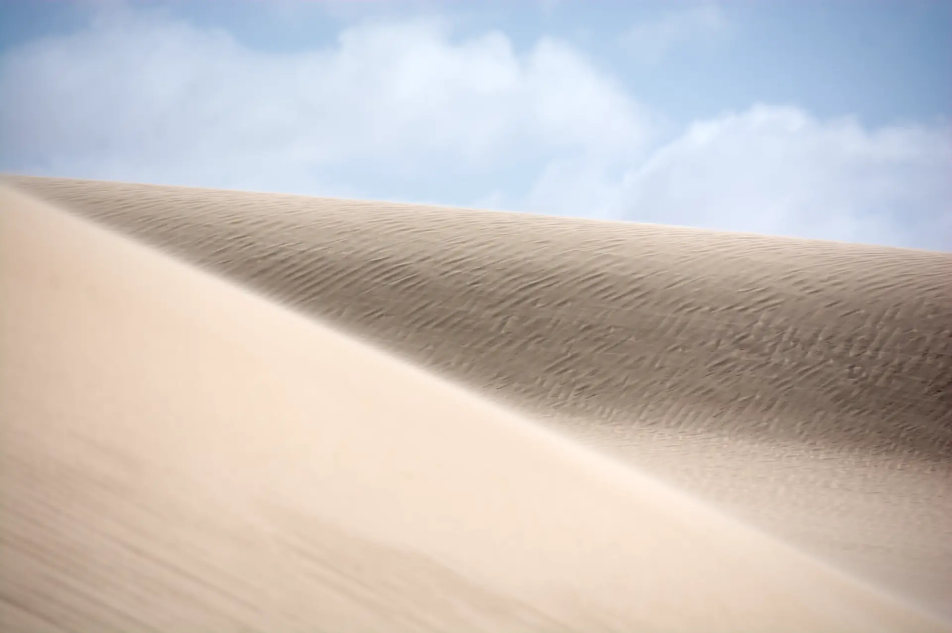 Détail Dune au soleil Dakhla