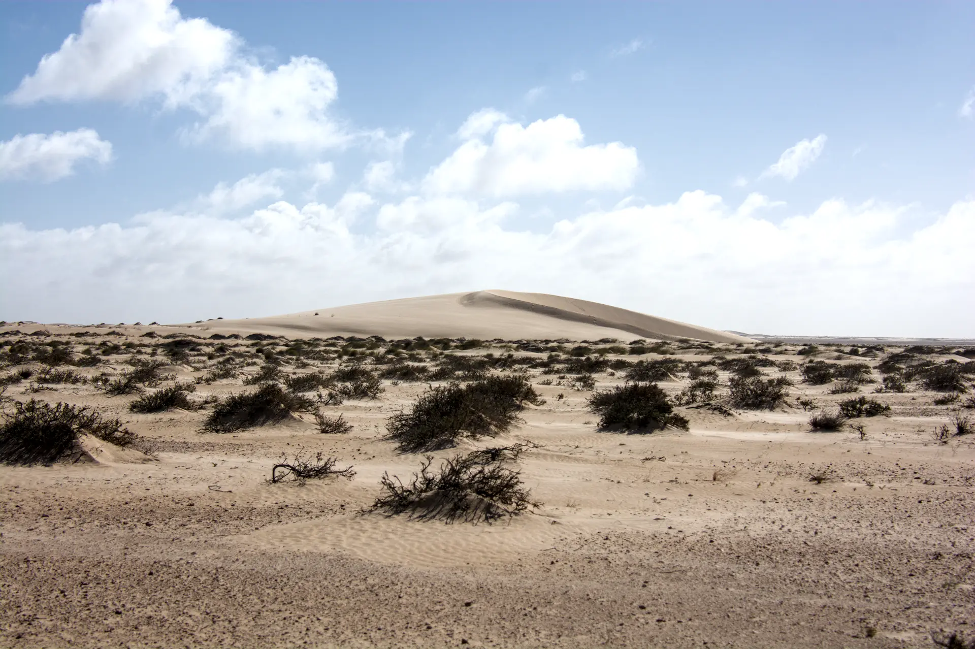 Dunes Dakhla