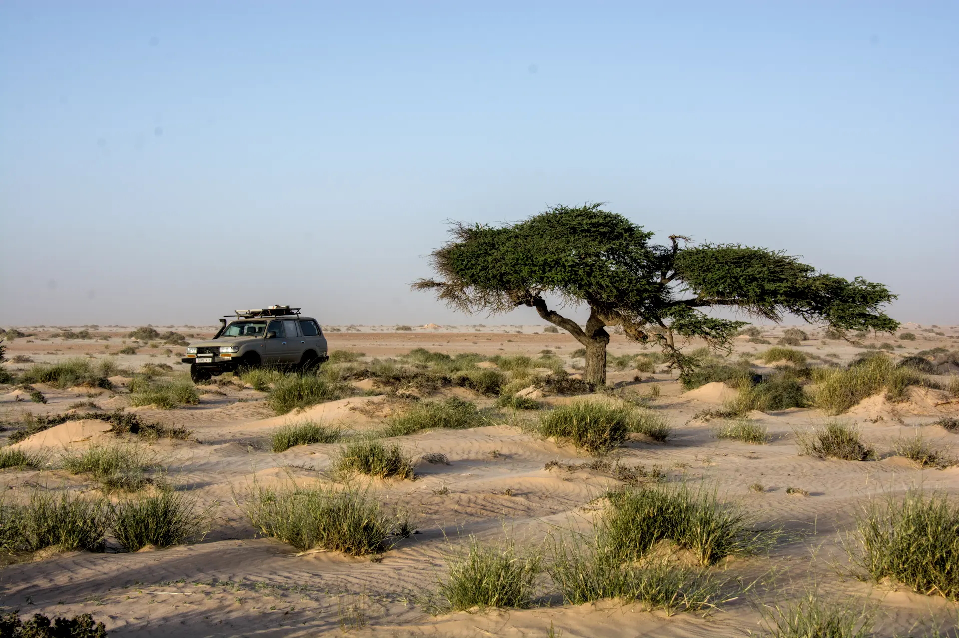 Logistique 4x4 Desert Dakhla